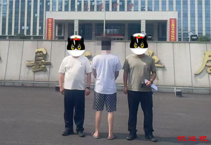 镇平公安：法网恢恢，疏而不漏！