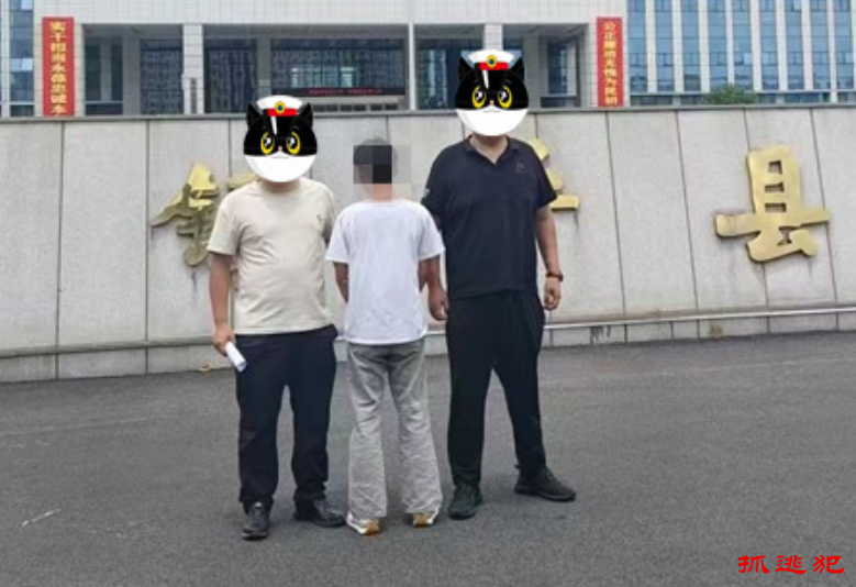 镇平公安：法网恢恢，疏而不漏！