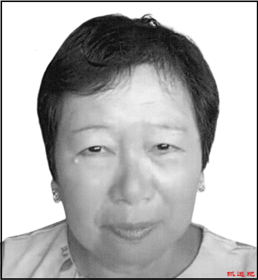 被通缉人士: 龚小夏