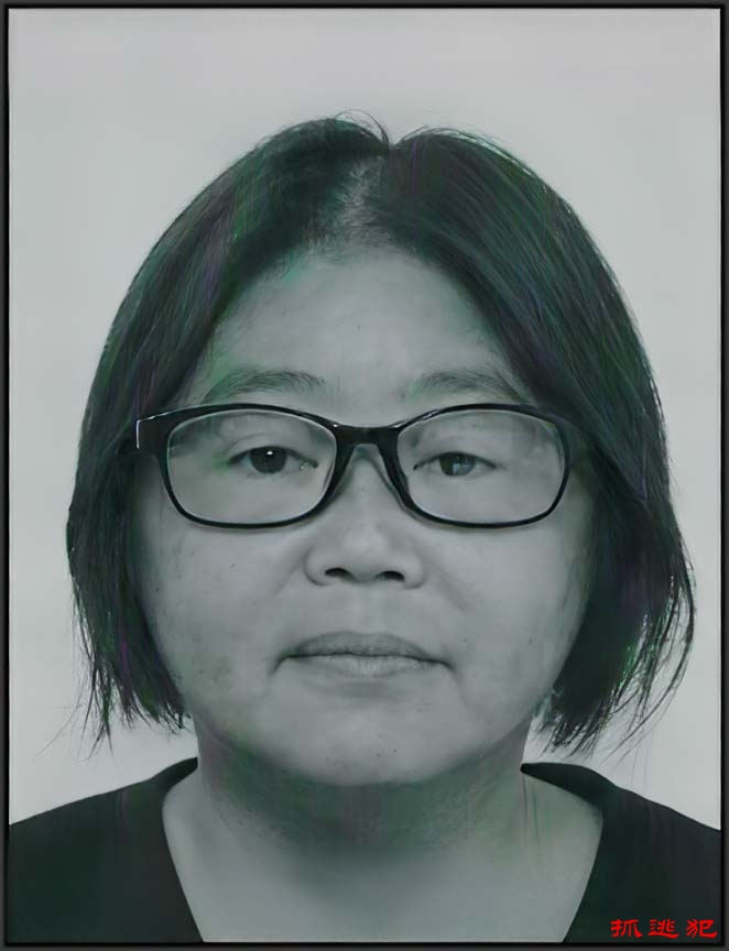 被通缉人士: 陈丽珍